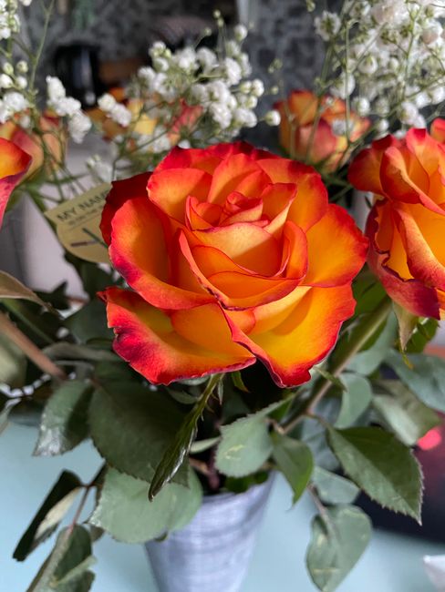 A vibrant floral arrangement featuring a large, fresh rose with petals displaying a gradient of yellow to fiery orange-red, set in a simple metallic vase. Surrounding the rose are delicate sprigs of w